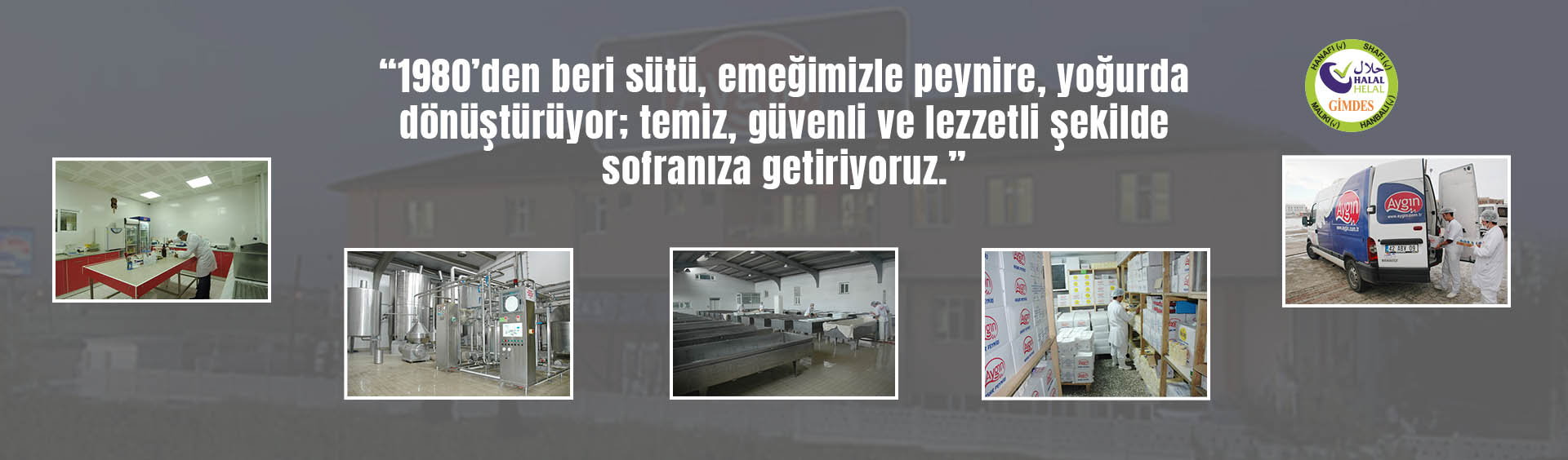 First slide